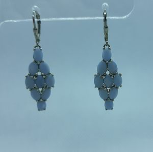 Genuine Oregon Blue Opal Earrings